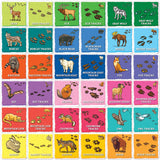 Jr Ranger - Animal Tracks Matching Game