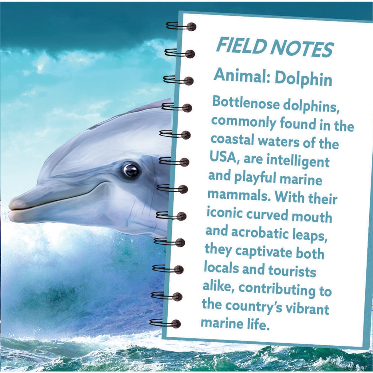 Dolphin 100 Piece Shaped Jigsaw Puzzle