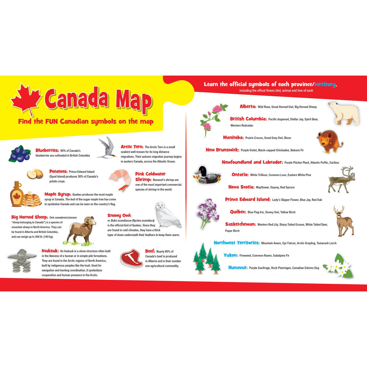 Educational - Canada Map 36 Piece Floor Jigsaw Puzzle