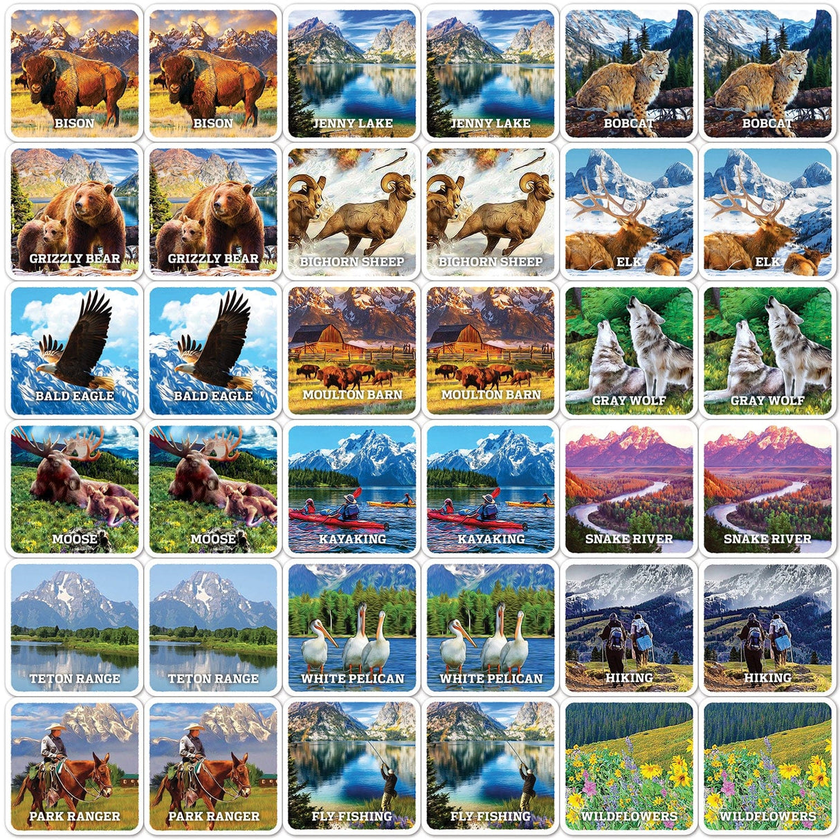 Jr. Ranger - Grand Teton Matching Game