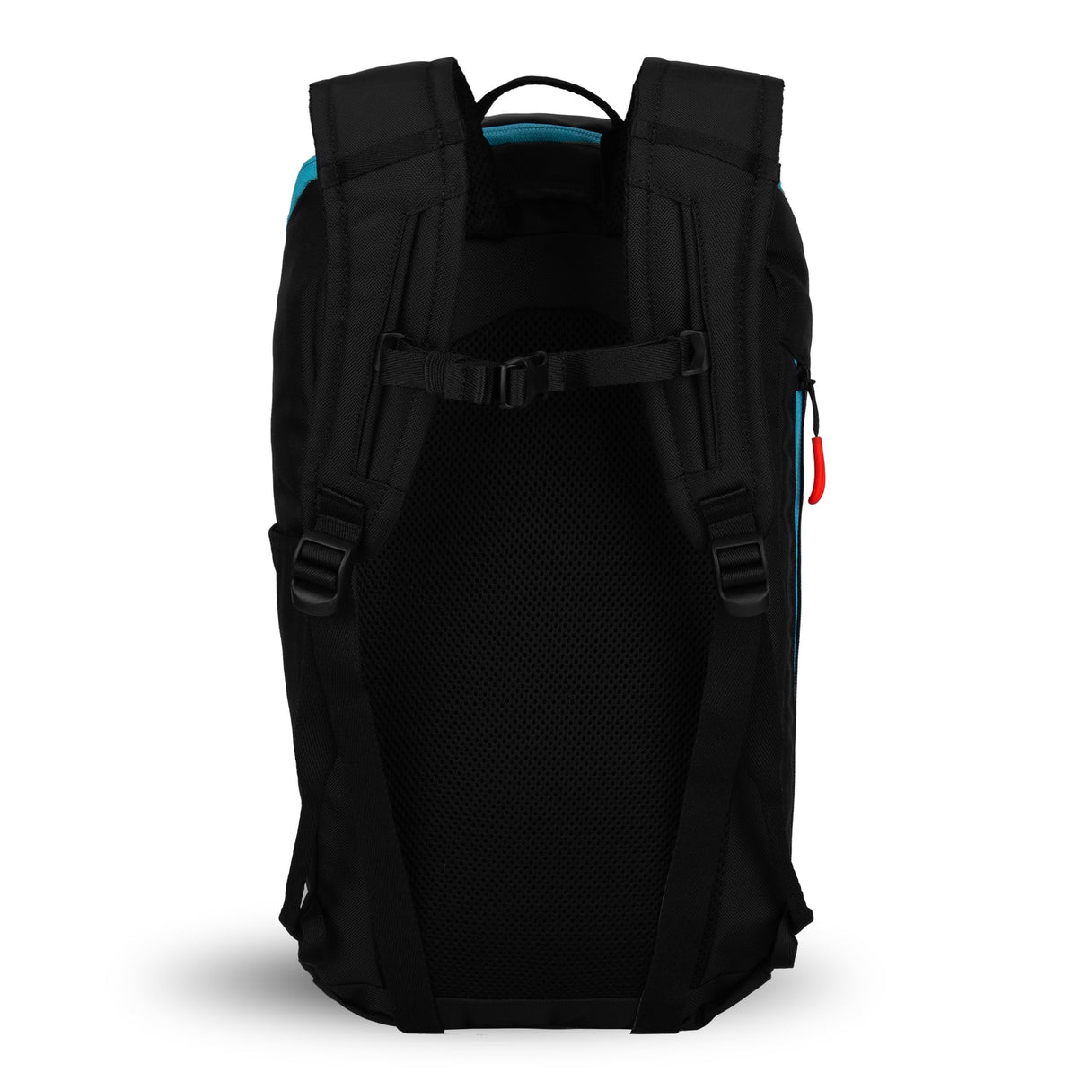 Switch Backpack by Sherpani