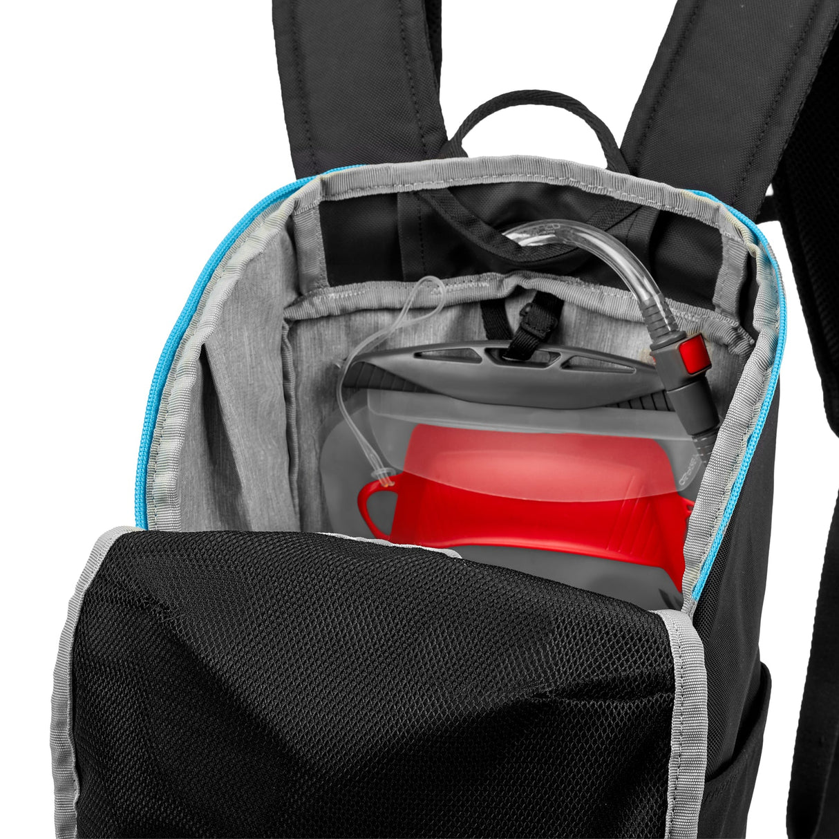 Switch Backpack by Sherpani